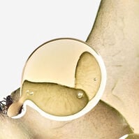 SOLO ELLA ELIXIR  100ml-214122 SOLO ELLA ELIXIR  100ml-214122 2